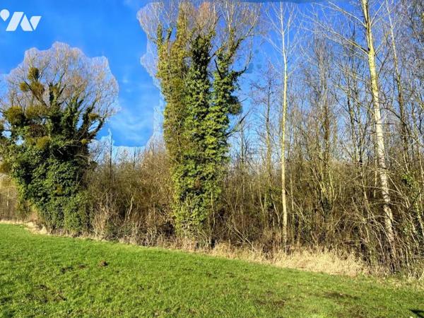Exclusivité : Vente Marais à LE BOISLE, plus de 6 hectares