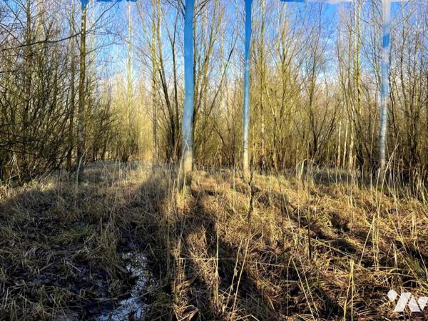Exclusivité : Vente Marais à LE BOISLE, plus de 6 hectares