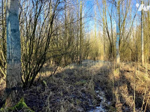 Exclusivité : Vente Marais à LE BOISLE, plus de 6 hectares