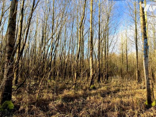 Exclusivité : Vente Marais à LE BOISLE, plus de 6 hectares