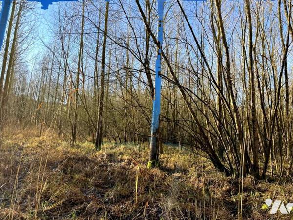 Exclusivité : Vente Marais à LE BOISLE, plus de 6 hectares