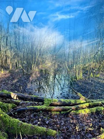 Exclusivité : Vente Marais à LE BOISLE, plus de 6 hectares