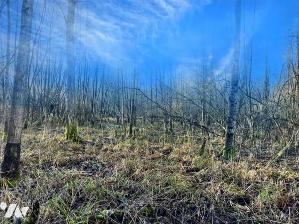 Exclusivité : Vente Marais à LE BOISLE, plus de 6 hectares