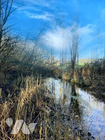 Exclusivité : Vente Marais à LE BOISLE, plus de 6 hectares