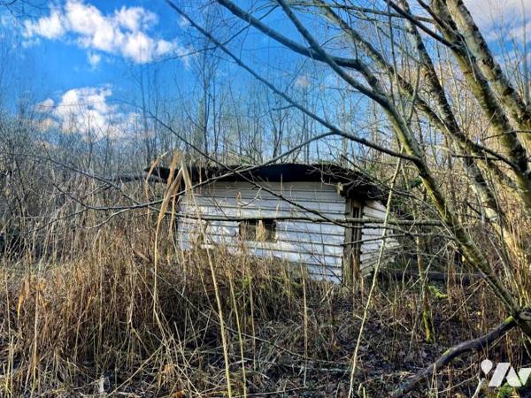 Exclusivité : Vente Marais à LE BOISLE, plus de 6 hectares