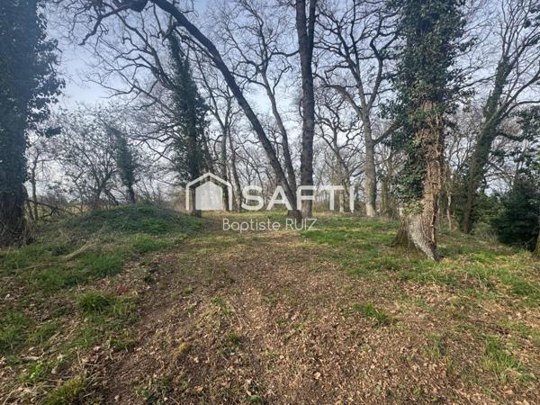 Ensemble de dépendances 600m2 sur 7500 de terrain