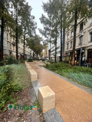 Appartement · Location Lyon (69006) 1 pièce · 61m²