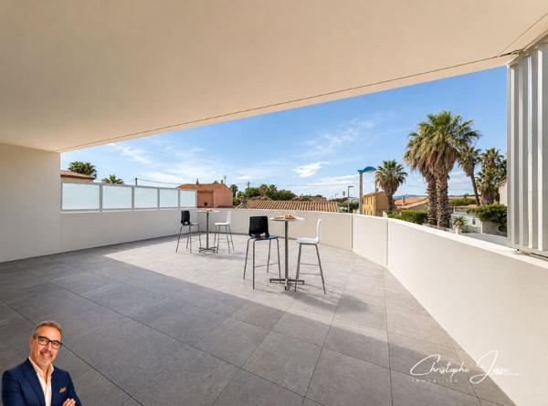 Appartement  3 pièces climatisé avec grande terrasse et garage