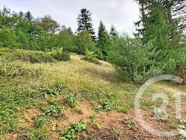 Maison à vendre  5 pièces - 124,40 m 2   USTOU  - 09