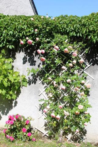 Charmante longère de 196 m² - Un havre de paix à proximité de Montoire-sur-le-Loir