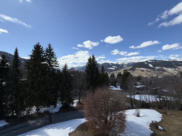 Megève (74120) MANDARINES - PLATEAU DU MONT-ARBOIS