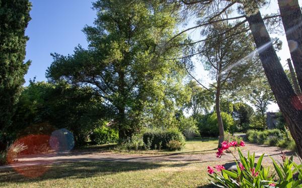 Maison à vendre    6 pièces • 220 m2 Albi