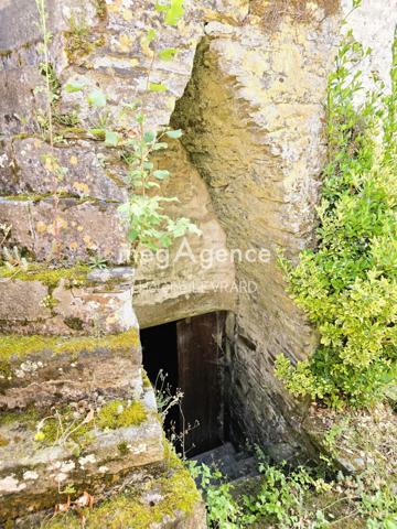 Maison à VIMARTIN SUR ORTHE, 53160 - 2 pièces 62m²