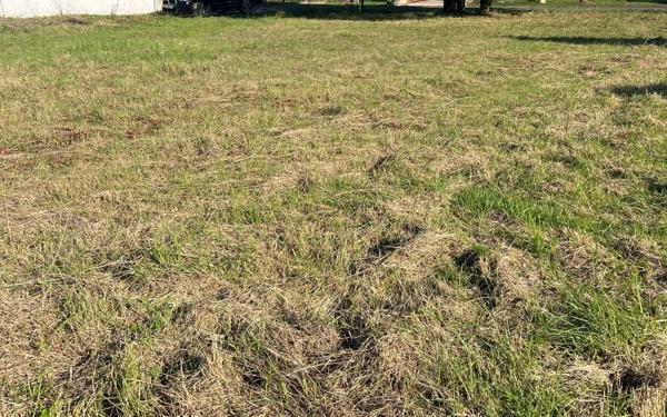 Terrain à vendre    Dolus-d'Oléron