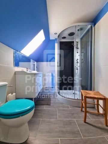 Maison Lere 7 pièce(s) 188.04 m2