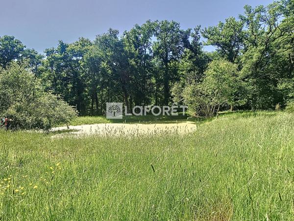 Achat maison Cour-Cheverny - 10 pièce(s) - 234 m² - 663 200 €