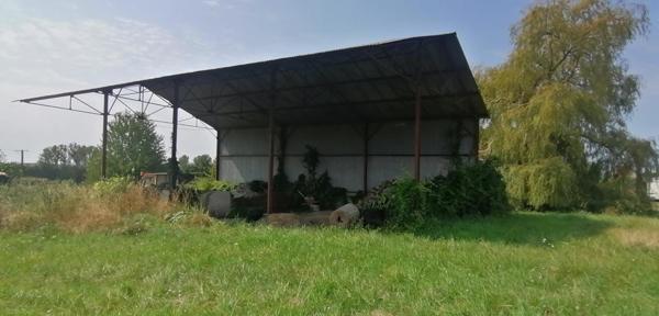 Dans la campagne de Neuvy Le Roi.