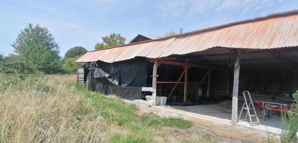 Dans la campagne de Neuvy Le Roi.