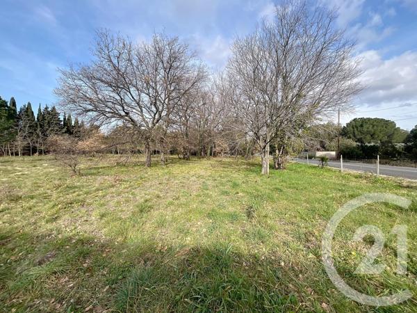 Terrain à vendre  1300 m2 MONTESQUIEU DES ALBERES - 66