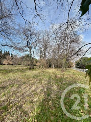 Terrain à vendre  1300 m2 MONTESQUIEU DES ALBERES - 66
