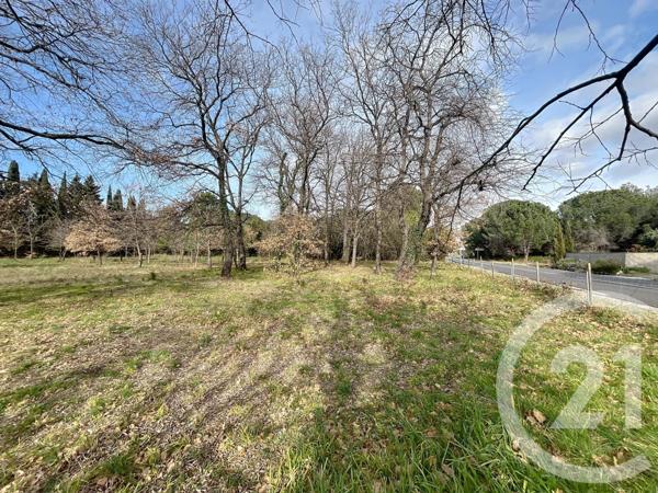 Terrain à vendre  1300 m2 MONTESQUIEU DES ALBERES - 66