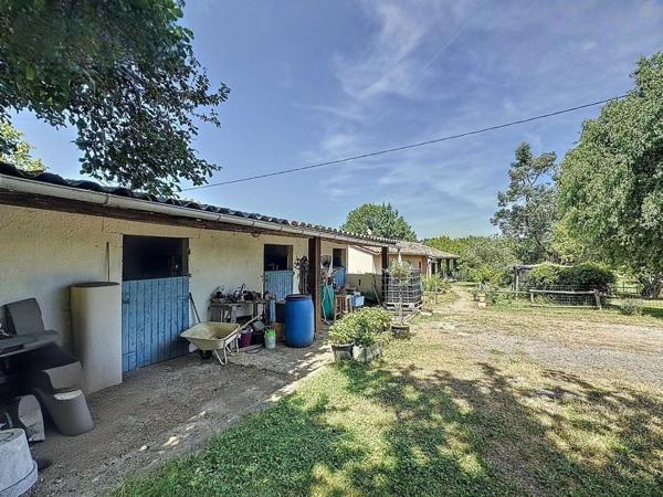 Propriété avec installations équestres – 140 m² – 2,5 hectares – Léojac