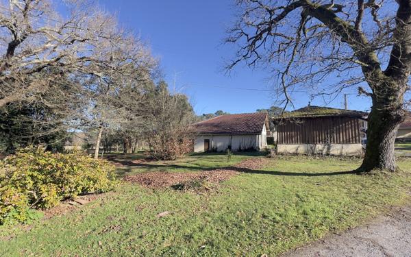 Maison à vendre    12 pièces • 350 m2 Seignosse