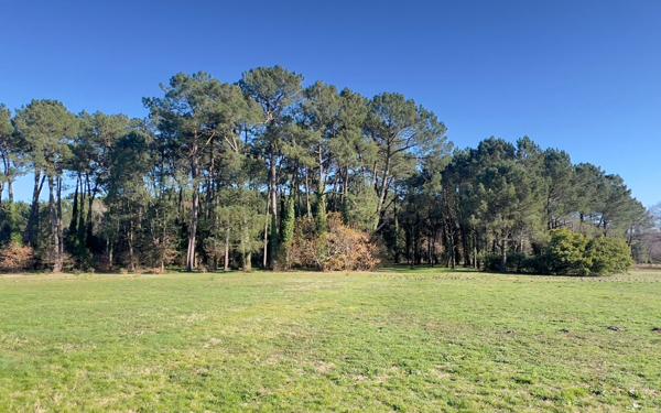 Maison à vendre    12 pièces • 350 m2 Seignosse