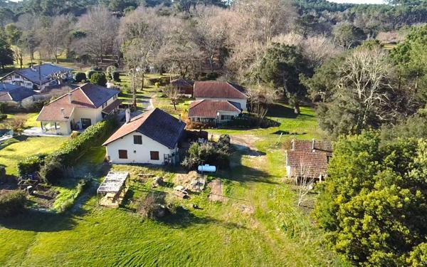 Maison à vendre    12 pièces • 350 m2 Seignosse