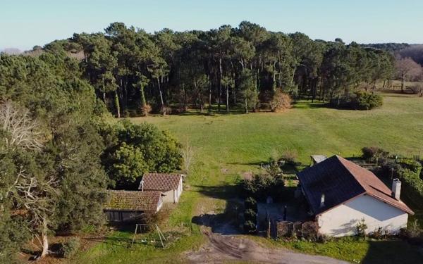 Maison à vendre    12 pièces • 350 m2 Seignosse