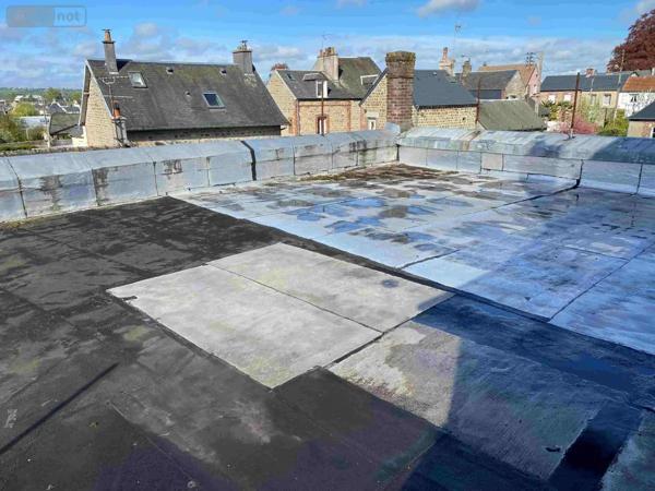 Achat - Immeuble Saint-Georges-des-Groseillers 61100 500 m 2 500 m 2