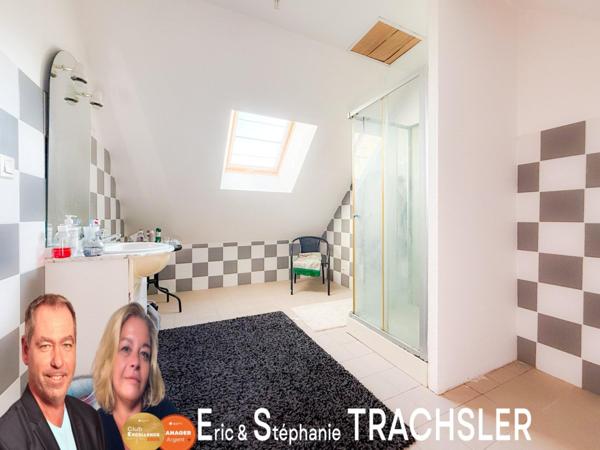 Rareté absolue au Mans : 2020 m² de terrain en ville, au bord de l’eau