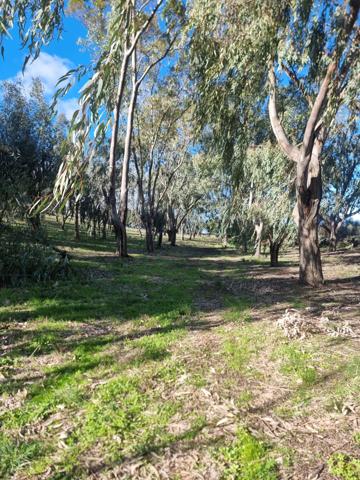 Saint-Florent (20217) PROPRIÉTÉ D’EXCEPTION 239 m² – 2,8 HECTARES