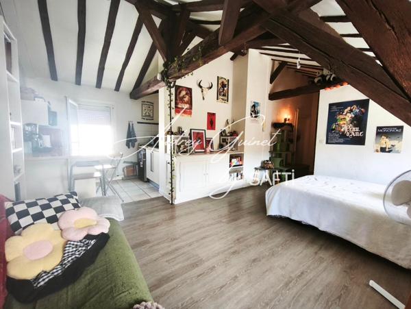 Grand Studio 38m² sur le plateau du centre-ville