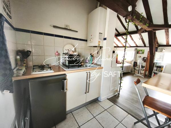 Grand Studio 38m² sur le plateau du centre-ville