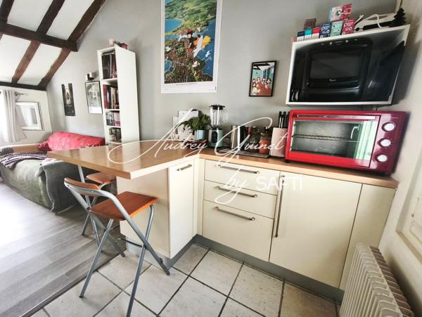 Grand Studio 38m² sur le plateau du centre-ville