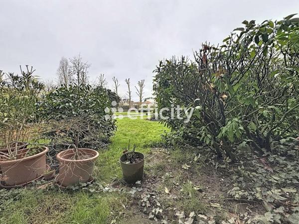 Appartement 3 pièces - 63 m²