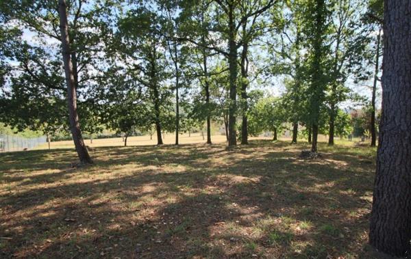 Vente Terrain Puy-l'eveque   