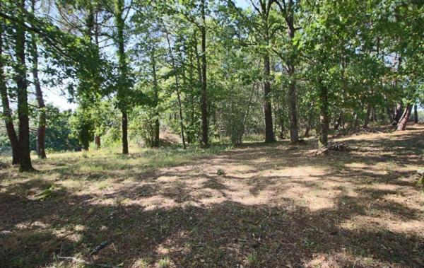 Vente Terrain Puy-l'eveque   