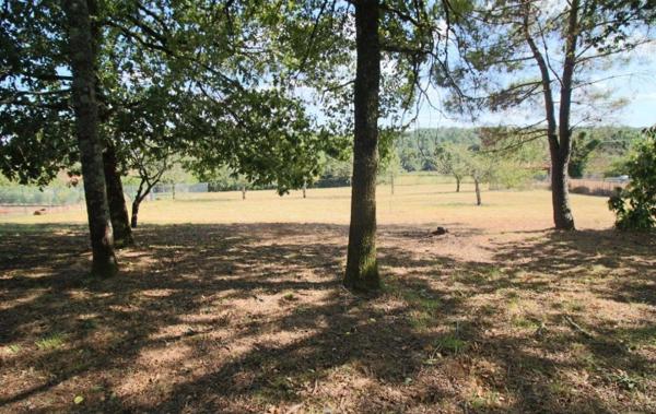 Vente Terrain Puy-l'eveque   