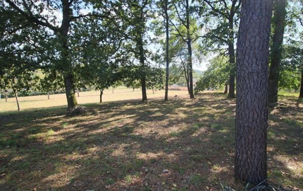 Vente Terrain Puy-l'eveque   