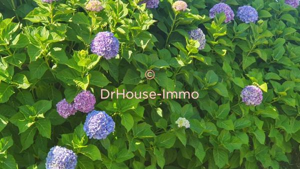 Maison à vendre 7 pièces de 117 m²