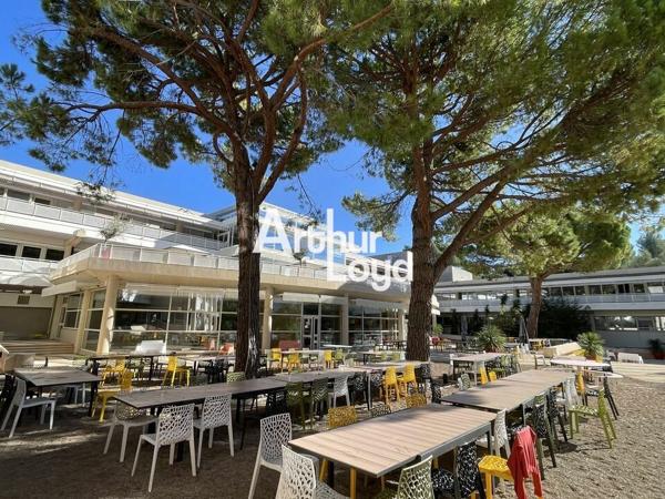 Bureaux à louer quartier des Templiers à Sophia Antipolis divisibles dès 72 m²