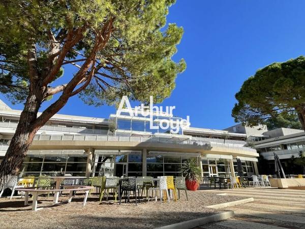 Bureaux à louer quartier des Templiers à Sophia Antipolis divisibles dès 72 m²