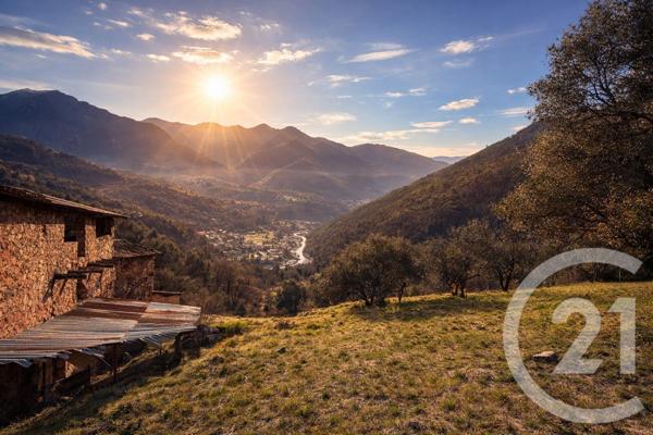 Terrain à vendre  15590 m2 ROQUEBILLIERE - 06