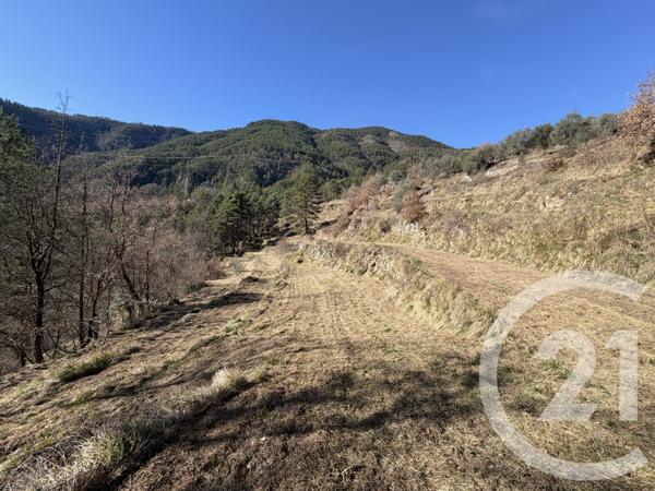 Terrain à vendre  15590 m2 ROQUEBILLIERE - 06