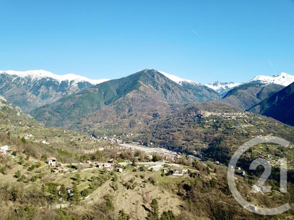 Terrain à vendre  15590 m2 ROQUEBILLIERE - 06