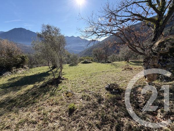 Terrain à vendre  15590 m2 ROQUEBILLIERE - 06