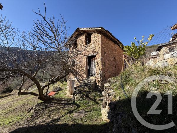Terrain à vendre  15590 m2 ROQUEBILLIERE - 06