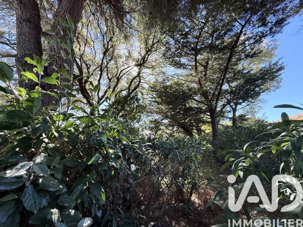 Appartement à vendre 2 pièces 40 m² Sanary-sur-Mer